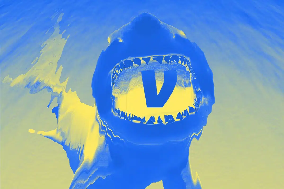Shark in water