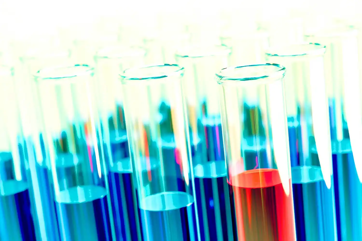 Scientific beakers with red and blue liquids