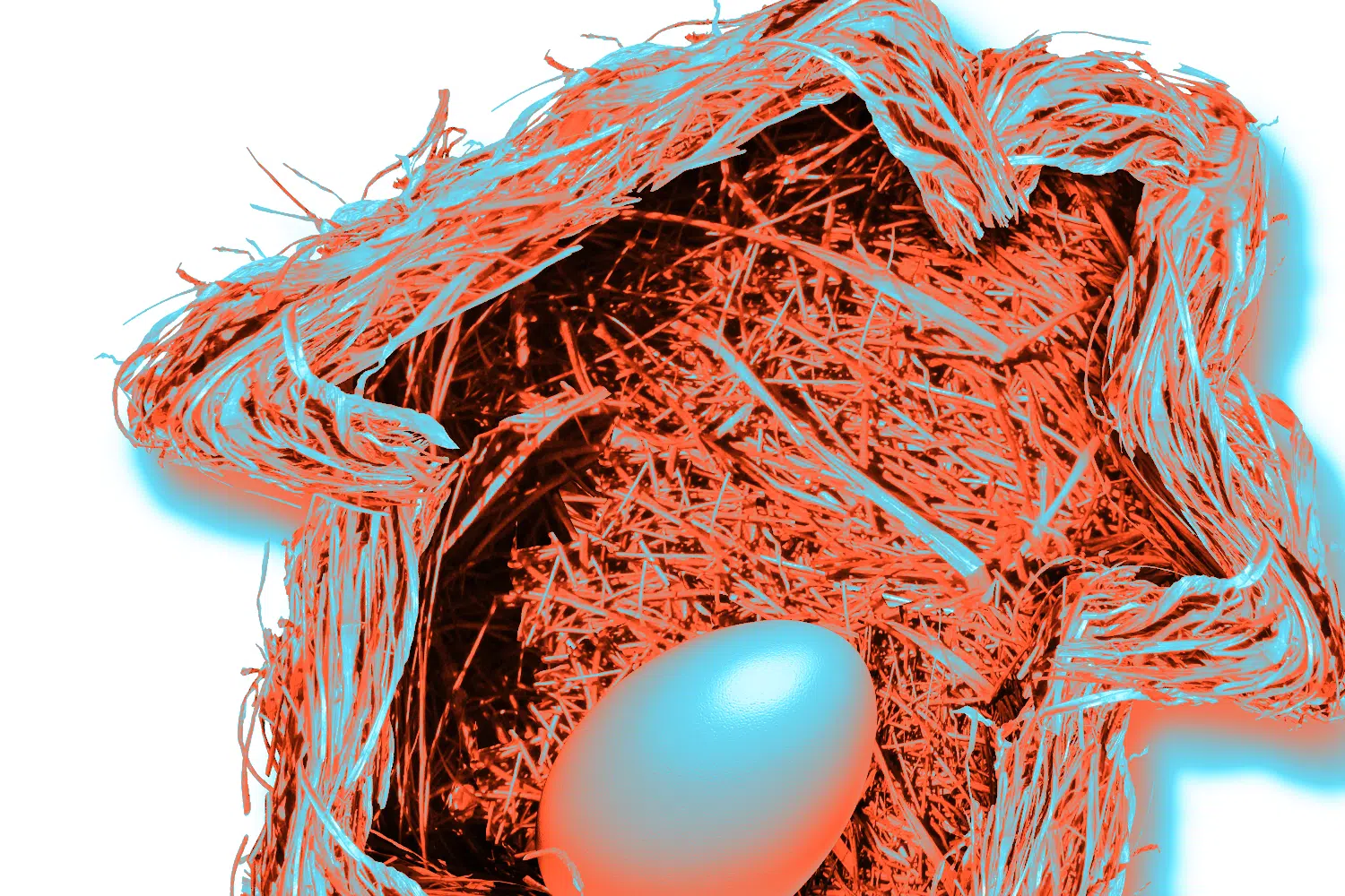 bird's nest with egg