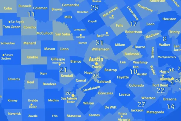 Texas county map